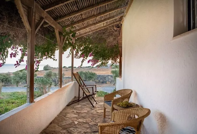 Margarita Apartments