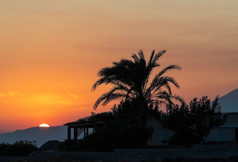 Margarita Apartments