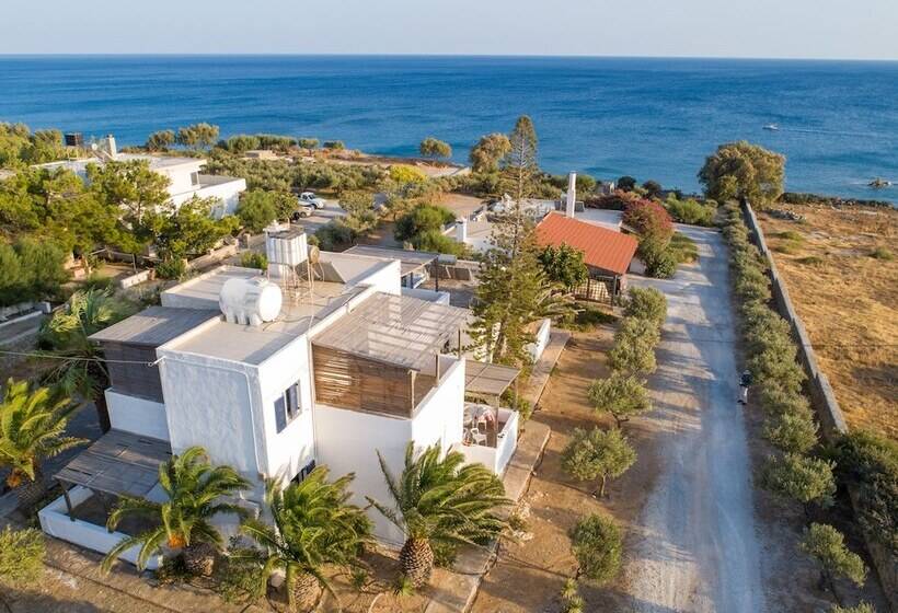 Margarita Apartments