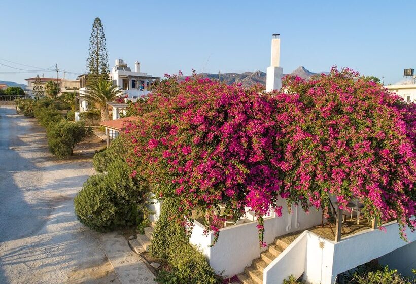 Margarita Apartments