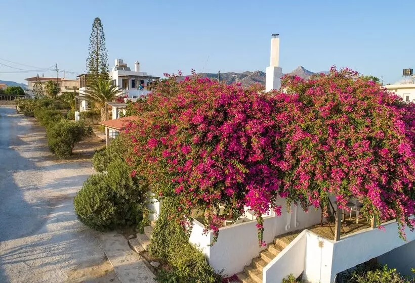 Margarita Apartments