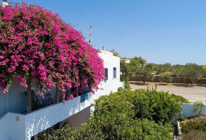 Margarita Apartments