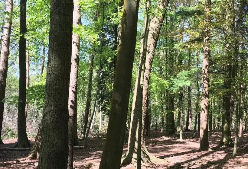 Bybrook Barn Bed & Breakfast