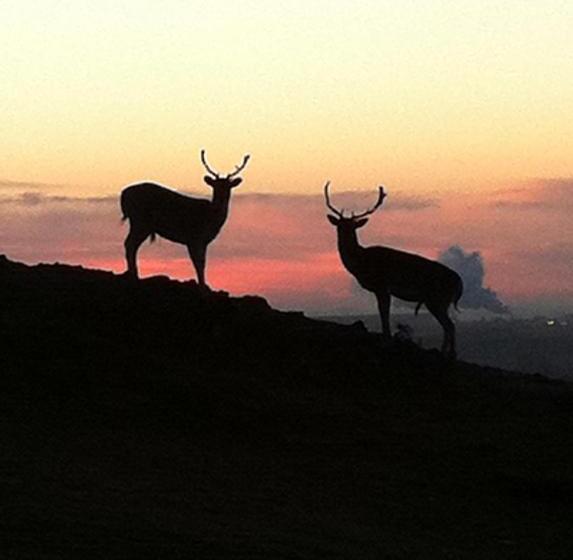 Bybrook Barn Bed & Breakfast
