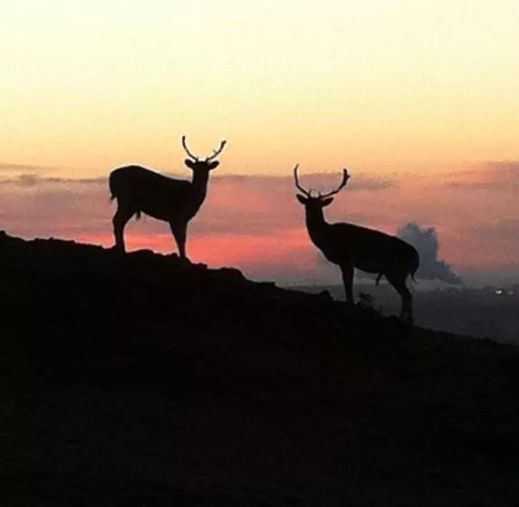 Bybrook Barn Bed & Breakfast