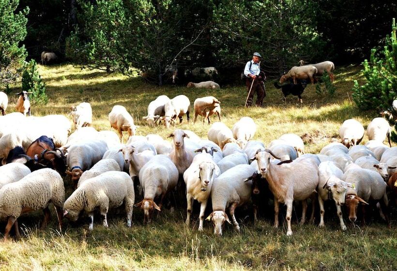 بنسيون Hostal La Font