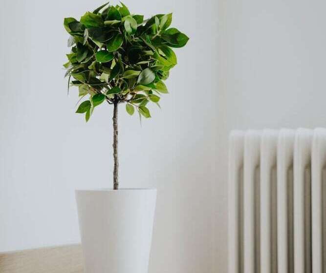 膳宿费 Voulis Attico Rooms & Apartments