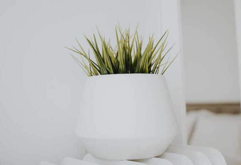 膳宿费 Voulis Attico Rooms & Apartments