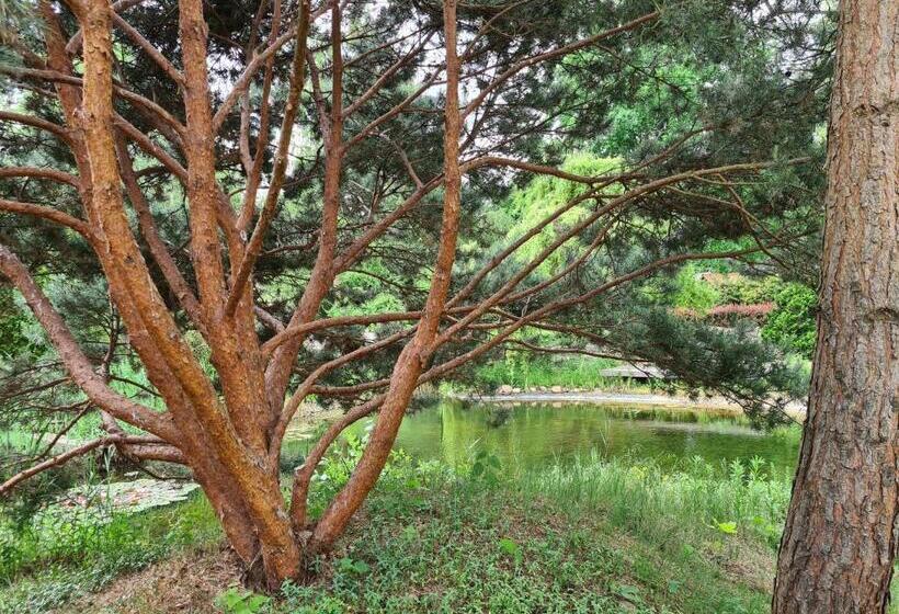 Ferienwohnungen Margaretenhof, Plaue