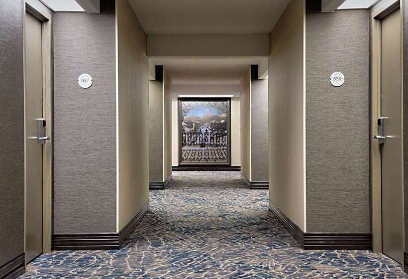 Hilton New Orleans Airport