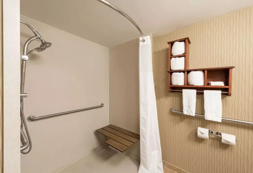 هتل Hampton Inn By Hilton Branson On The Strip