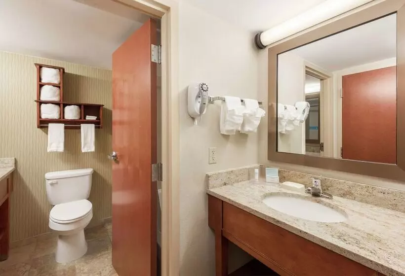 هتل Hampton Inn By Hilton Branson On The Strip