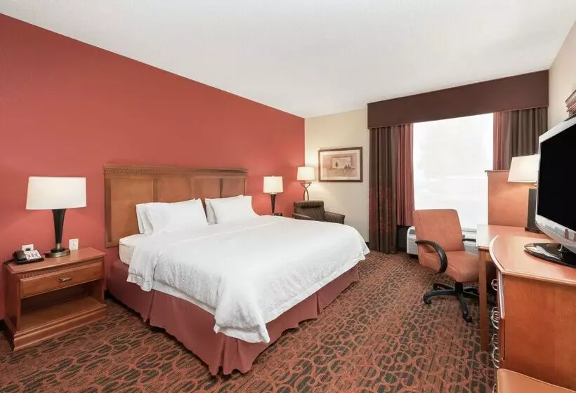 هتل Hampton Inn By Hilton Branson On The Strip