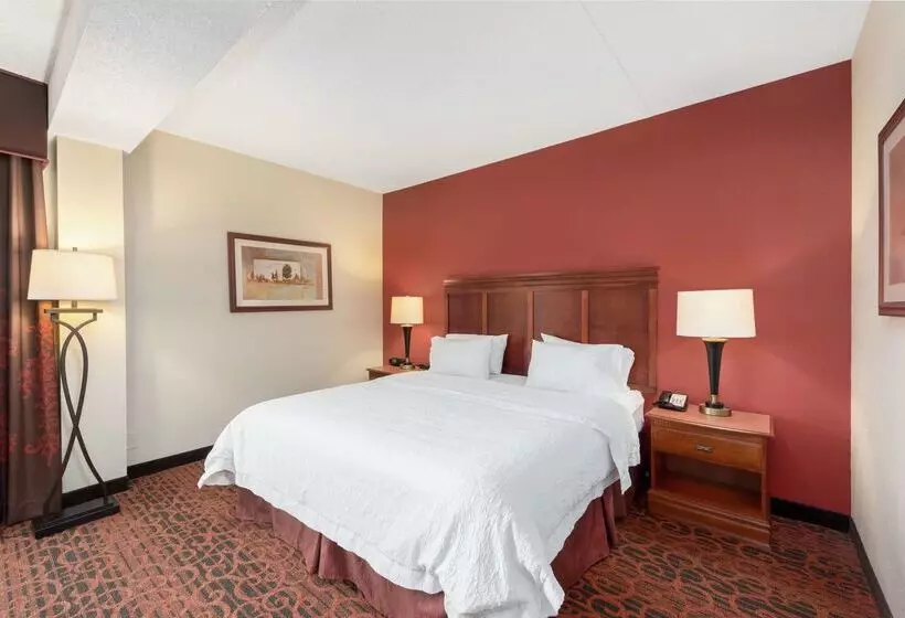 هتل Hampton Inn By Hilton Branson On The Strip