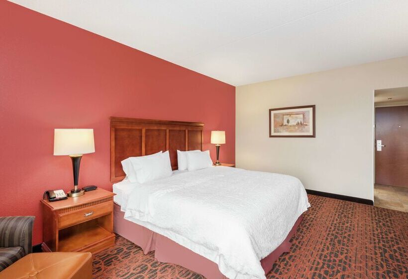 Szálloda Hampton Inn By Hilton Branson On The Strip