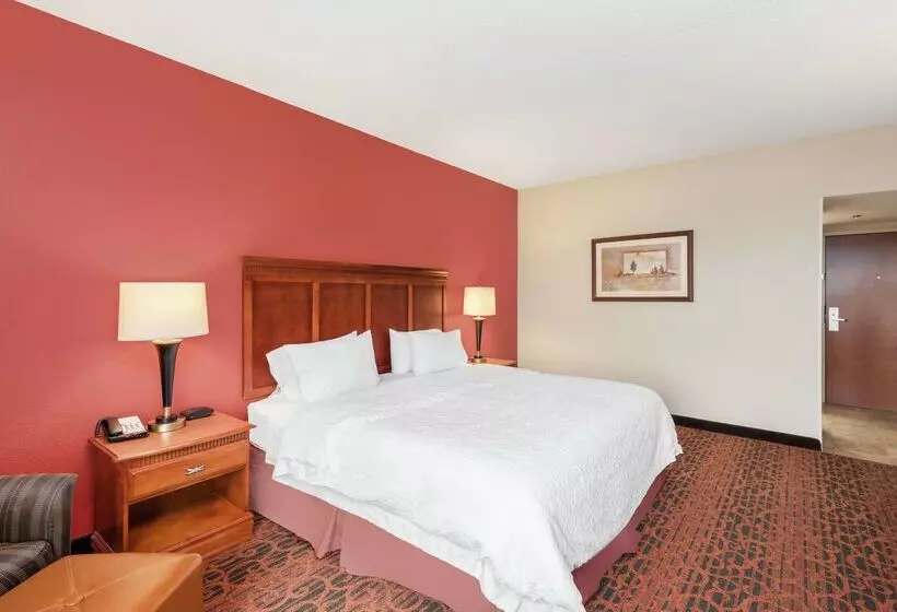 هتل Hampton Inn By Hilton Branson On The Strip