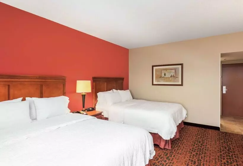 هتل Hampton Inn By Hilton Branson On The Strip