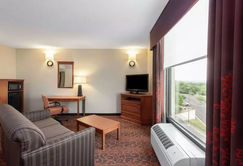 هتل Hampton Inn By Hilton Branson On The Strip