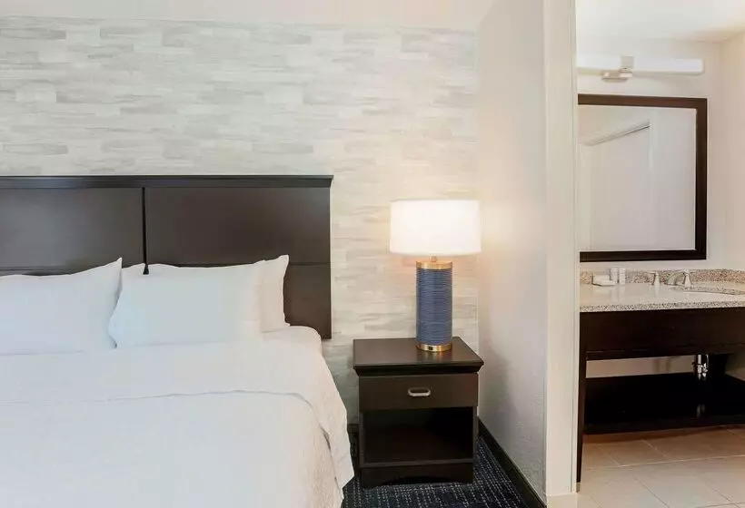 Отель Hampton Inn & Suites Denver Tech Center