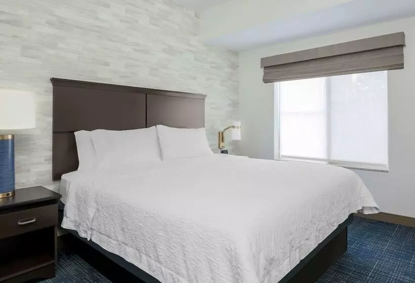 Отель Hampton Inn & Suites Denver Tech Center