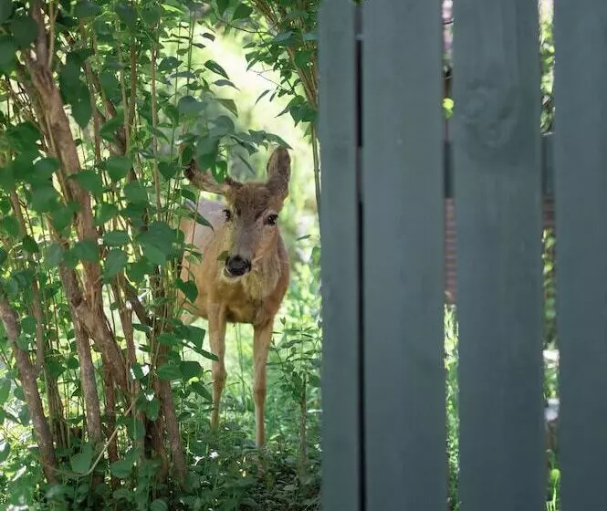 בית מלון כפרי Highland Haven Creekside Inn