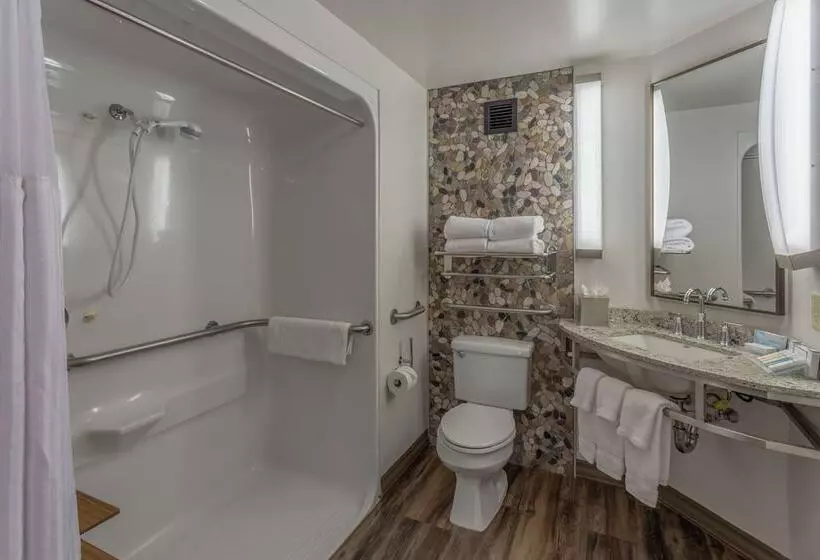 酒店 Hilton Garden Inn Owings Mills