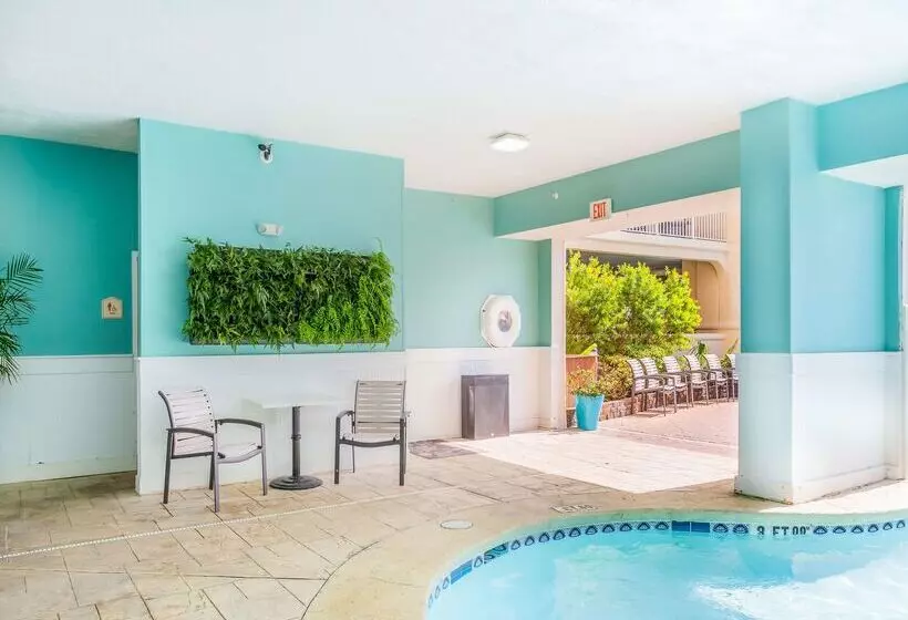 酒店 Hilton Garden Inn Orange Beach Beachfront