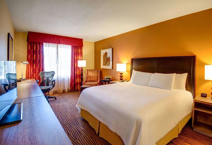 فندق Hilton Garden Inn Tampa Ybor Historic District