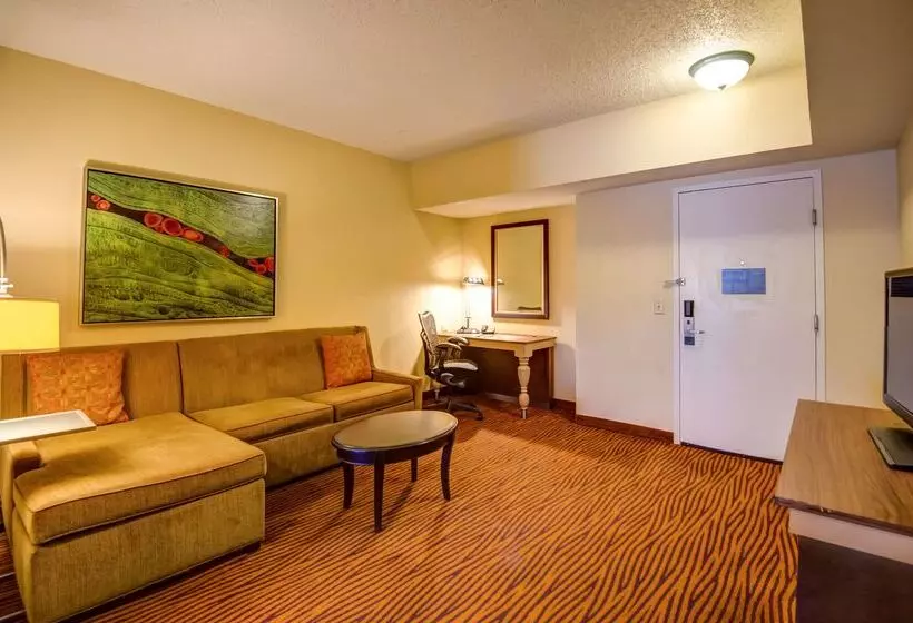 בית מלון כפרי Hilton Garden Inn Tampa Ybor Historic District