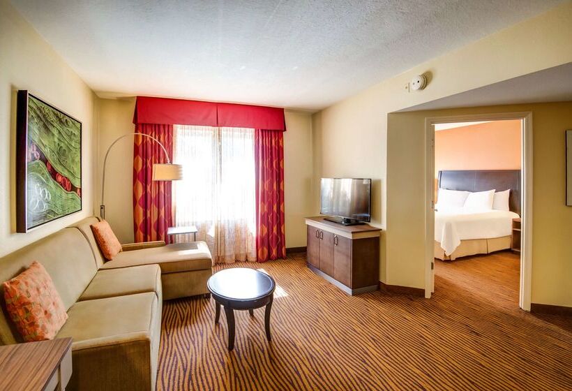 فندق Hilton Garden Inn Tampa Ybor Historic District