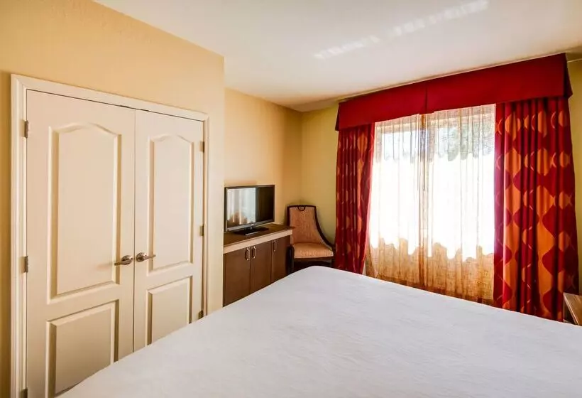 בית מלון כפרי Hilton Garden Inn Tampa Ybor Historic District