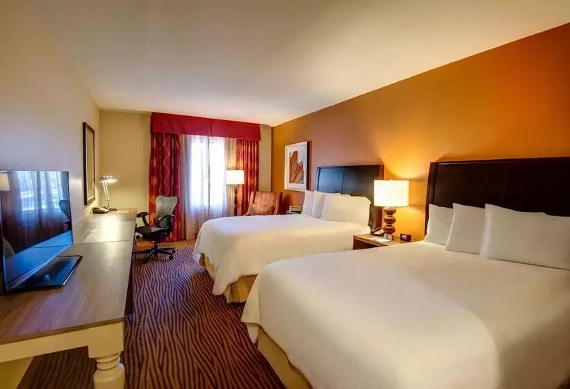 בית מלון כפרי Hilton Garden Inn Tampa Ybor Historic District