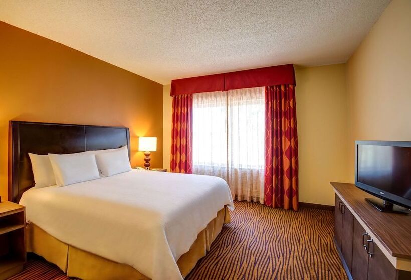 فندق Hilton Garden Inn Tampa Ybor Historic District