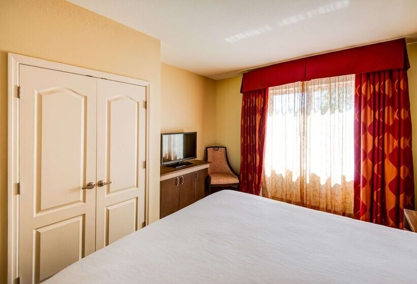 فندق Hilton Garden Inn Tampa Ybor Historic District