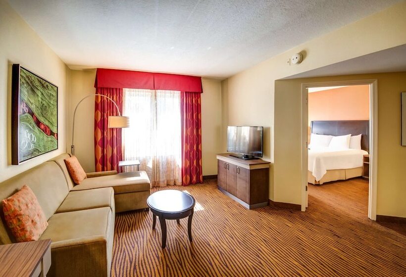 فندق Hilton Garden Inn Tampa Ybor Historic District