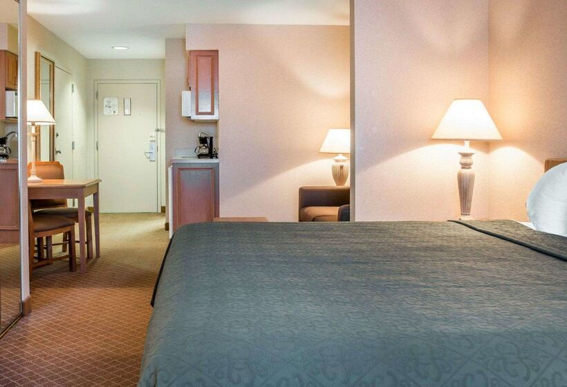 酒店 Quality Inn & Suites