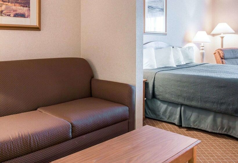 酒店 Quality Inn & Suites