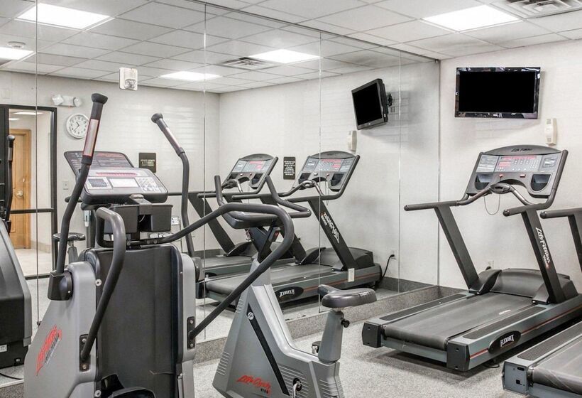 酒店 Quality Inn & Suites