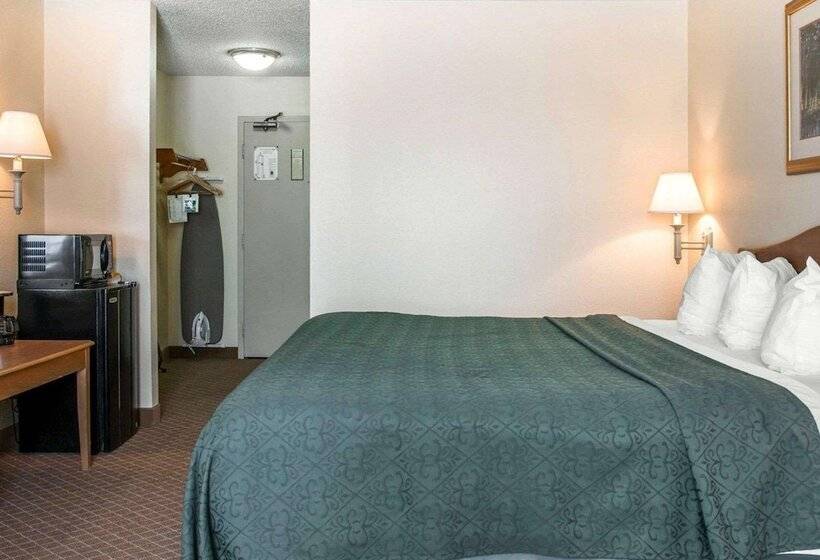 酒店 Quality Inn & Suites