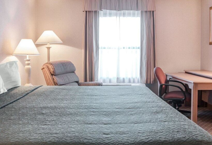 酒店 Quality Inn & Suites