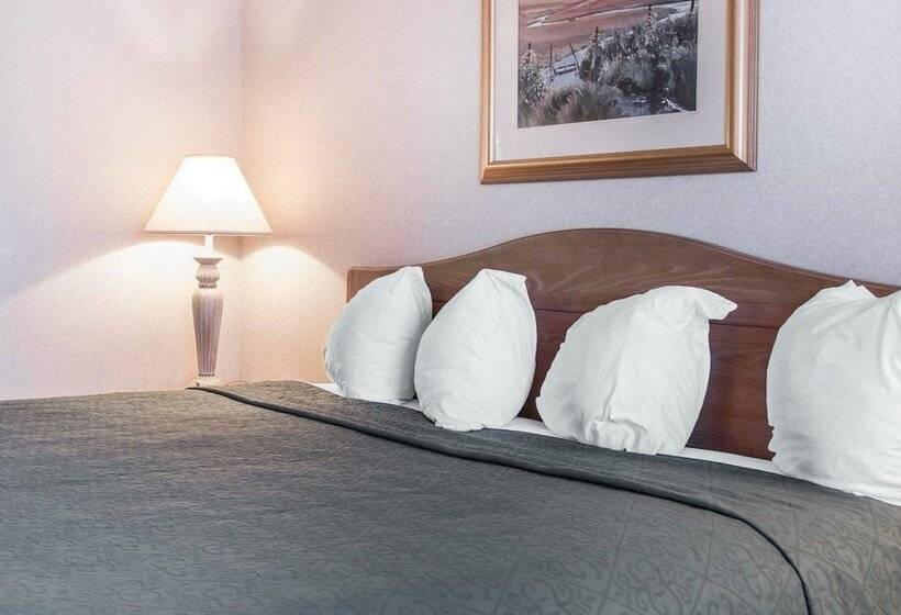 酒店 Quality Inn & Suites