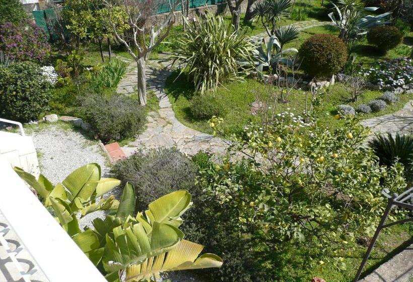 Appartement D Artiste