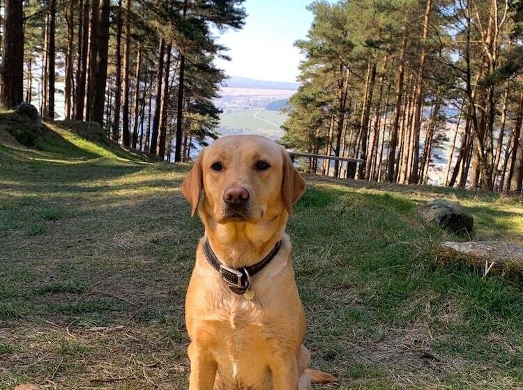 酒店 Swinton Bivouac