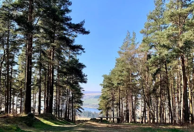 Hotelli Swinton Bivouac