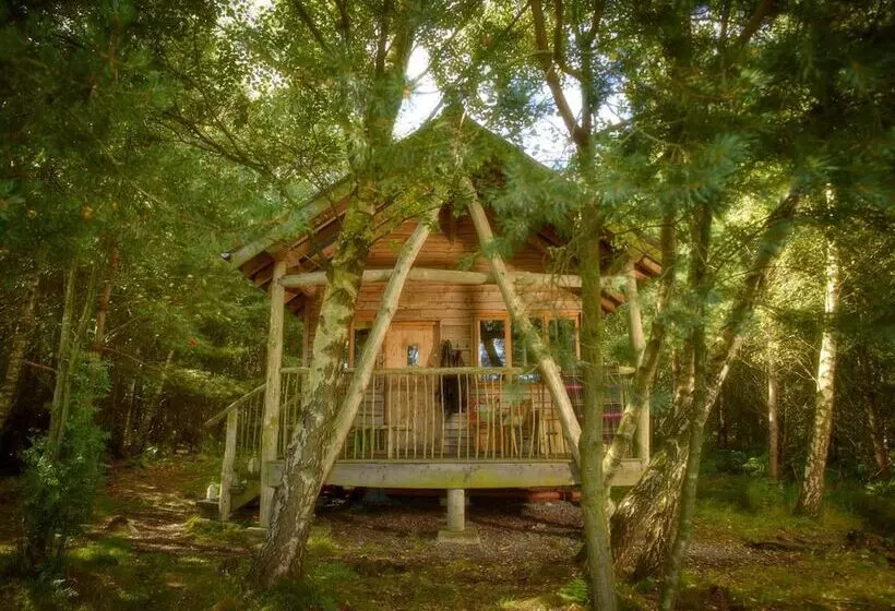 Hotelli Swinton Bivouac