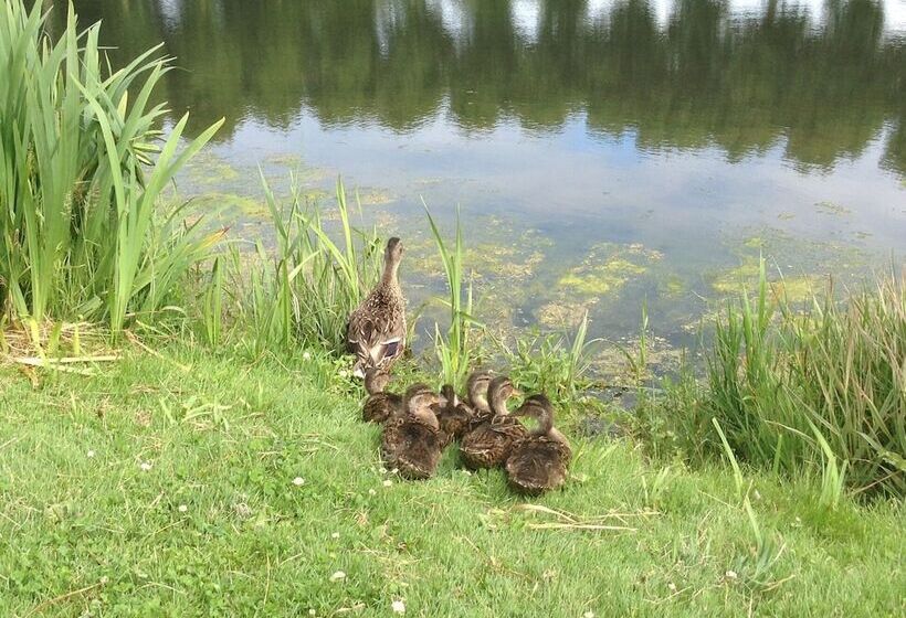 펜션 La Maison Du Phare B&b