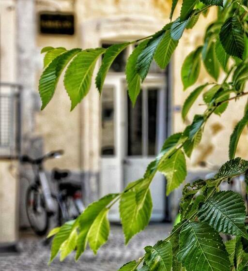 La Fontaine   Studio Ecusson