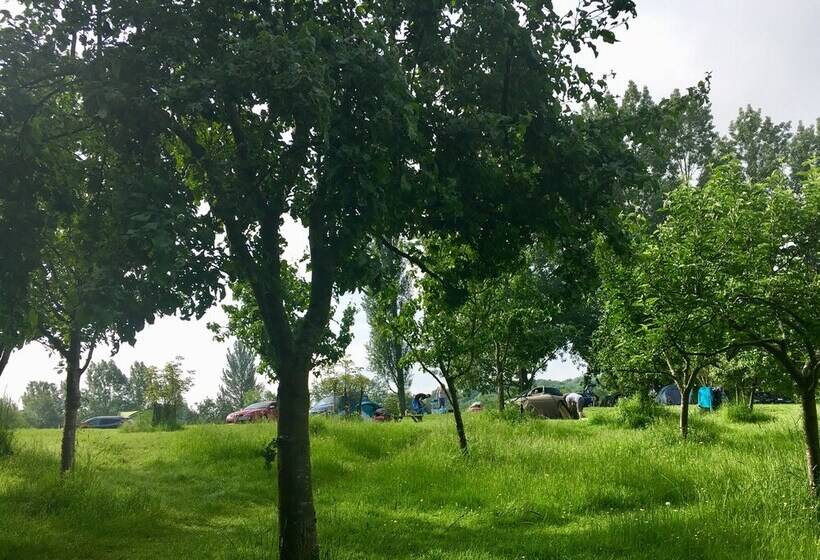 Cotswolds Camping At Holycombe