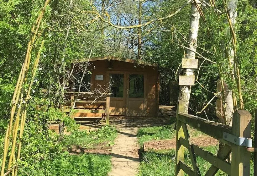 Cotswolds Camping At Holycombe