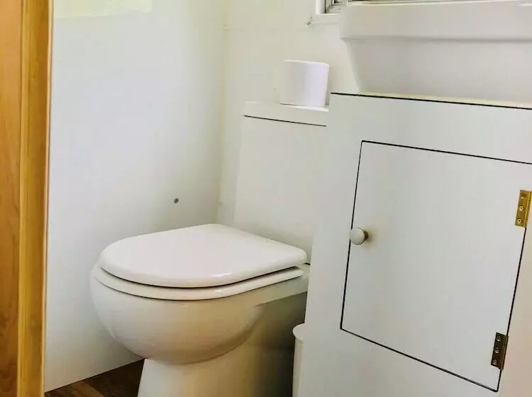 Cotswolds Camping At Holycombe